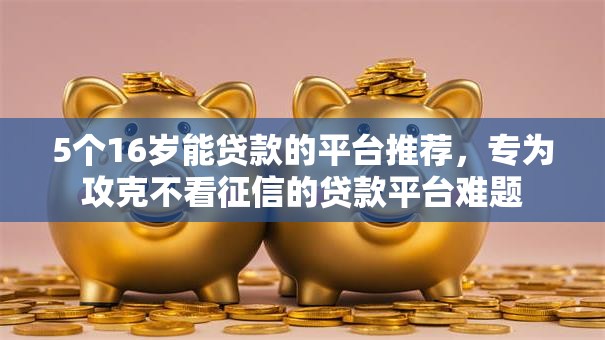 5个16岁能贷款的平台推荐，专为攻克不看征信的贷款平台难题