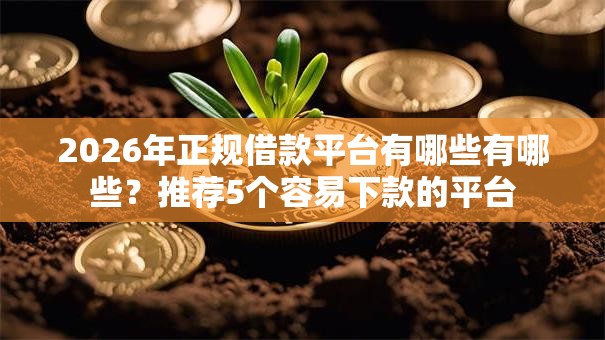2026年正规借款平台有哪些有哪些？推荐5个容易下款的平台