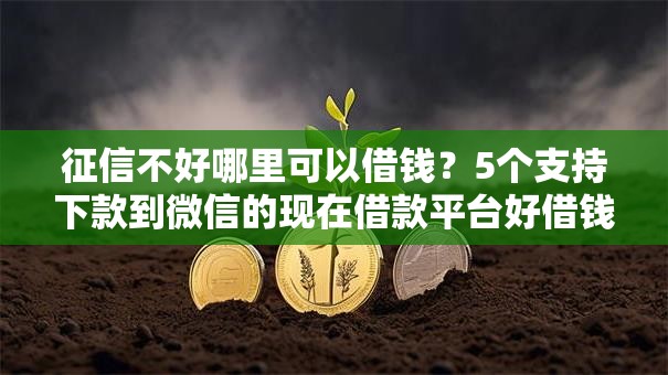 征信不好哪里可以借钱?5个支持下款到微信的现在借款平台好借钱 征信不好哪里可以借钱?5个支持下款到微信的现在借款平台好借钱