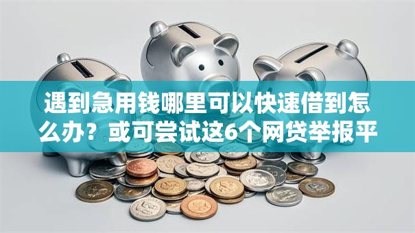 遇到急用钱哪里可以快速借到怎么办?或可尝试这6个网贷举报平台 遇到急用钱哪里可以快速借到怎么办?或可尝试这6个网贷举报平台