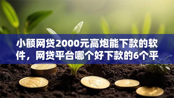 小额网贷2000元高炮能下款的软件，网贷平台哪个好下款的6个平台介绍