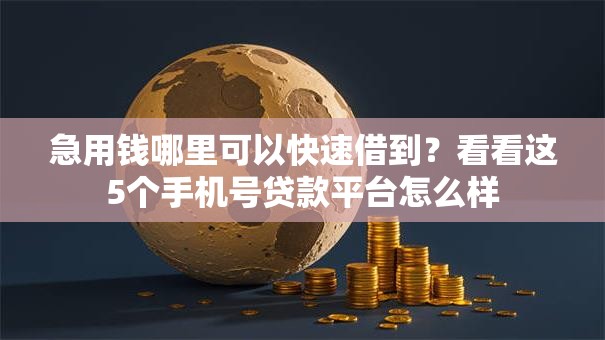 急用钱哪里可以快速借到?看看这5个手机号贷款平台怎么样 急用钱哪里可以快速借到?看看这5个手机号贷款平台怎么样