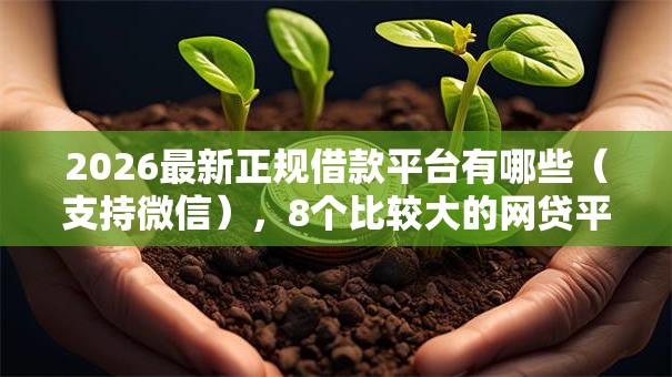 2026最新正规借款平台有哪些(支持微信),8个比较大的网贷平台无私分享 2026最新正规借款平台有哪些(支持微信),8个比较大的网贷平台无私分享
