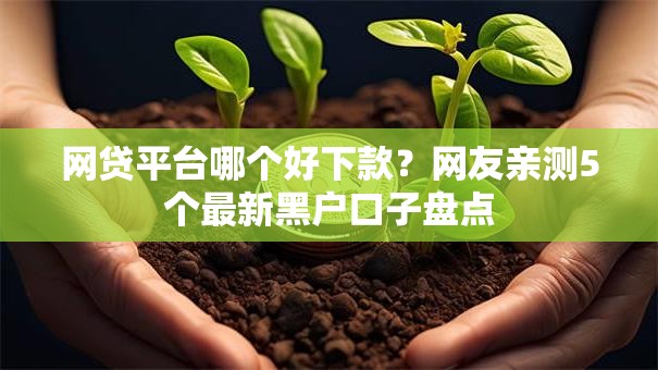 网贷平台哪个好下款？网友亲测5个最新黑户口子盘点