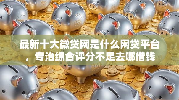 最新十大微贷网是什么网贷平台，专治综合评分不足去哪借钱
