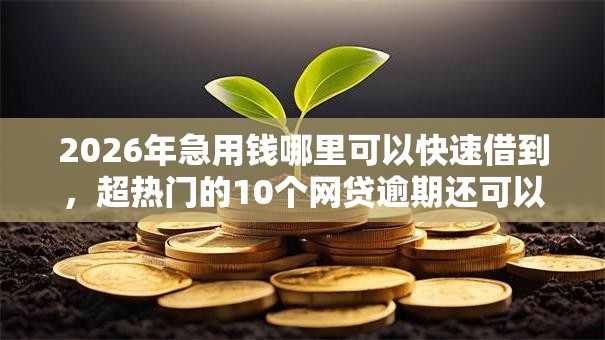 2026年急用钱哪里可以快速借到,超热门的10个网贷逾期还可以借钱的口子推荐 2026年急用钱哪里可以快速借到,超热门的10个网贷逾期还可以借钱的口子推荐