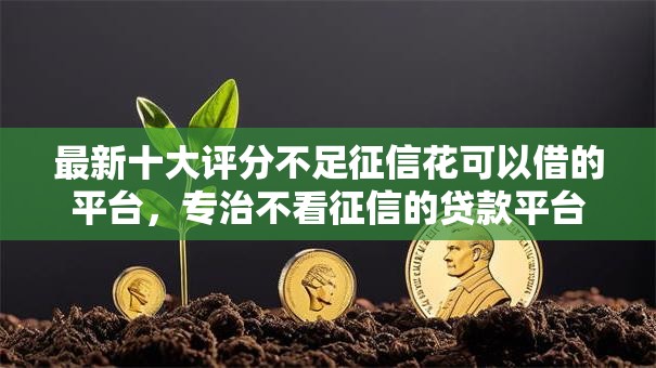 最新十大评分不足征信花可以借的平台,专治不看征信的贷款平台 最新十大评分不足征信花可以借的平台,专治不看征信的贷款平台