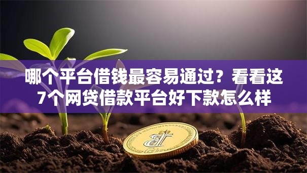 哪个平台借钱最容易通过?看看这7个网贷借款平台好下款怎么样 哪个平台借钱最容易通过?看看这7个网贷借款平台好下款怎么样