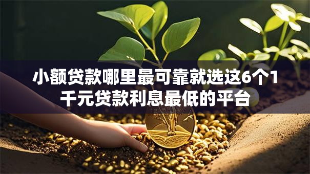 小额贷款哪里最可靠就选这6个1千元贷款利息最低的平台 小额贷款哪里最可靠就选这6个1千元贷款利息最低的平台