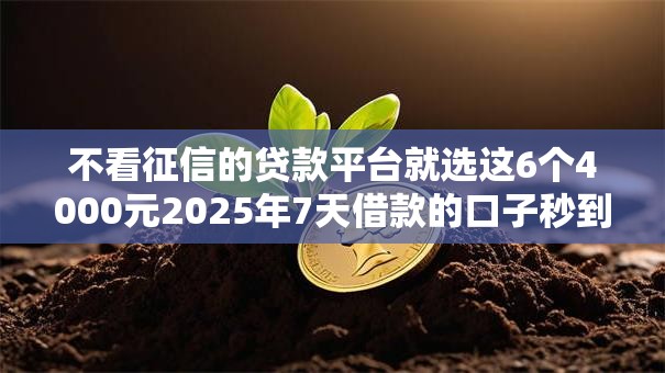 不看征信的贷款平台就选这6个4000元2025年7天借款的口子秒到的 不看征信的贷款平台就选这6个4000元2025年7天借款的口子秒到的