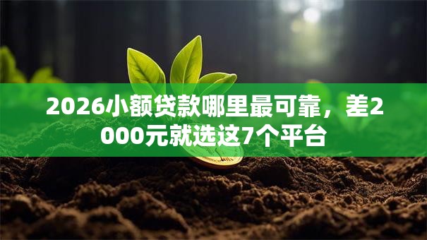 2026小额贷款哪里最可靠,差2000元就选这7个平台 2026小额贷款哪里最可靠,差2000元就选这7个平台