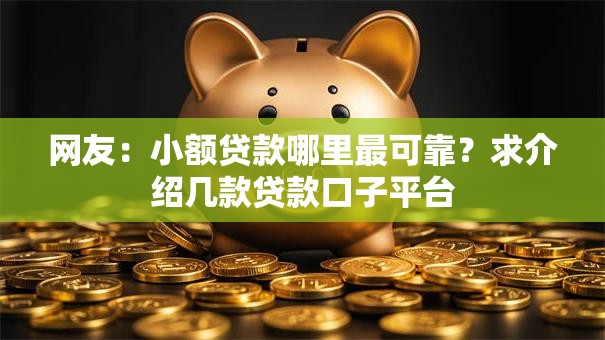 网友：小额贷款哪里最可靠？求介绍几款贷款口子平台