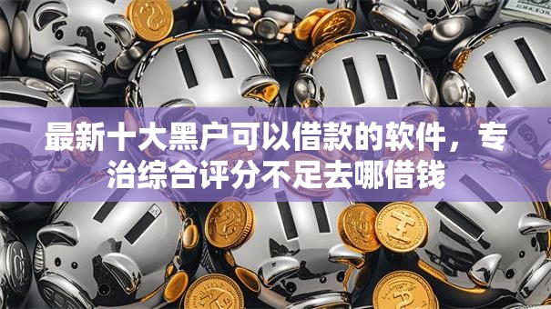 最新十大黑户可以借款的软件，专治综合评分不足去哪借钱