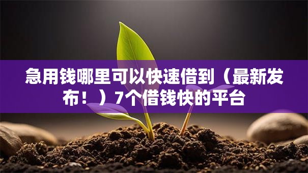 急用钱哪里可以快速借到(最新发布!)7个借钱快的平台 急用钱哪里可以快速借到(最新发布!)7个借钱快的平台