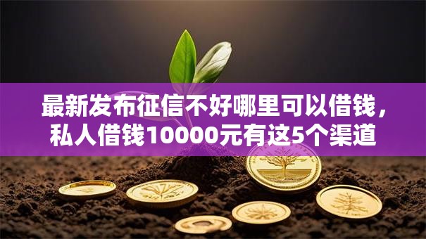 最新发布征信不好哪里可以借钱,私人借钱10000元有这5个渠道 最新发布征信不好哪里可以借钱,私人借钱10000元有这5个渠道