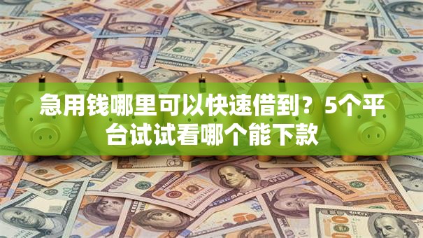 急用钱哪里可以快速借到？5个平台试试看哪个能下款
