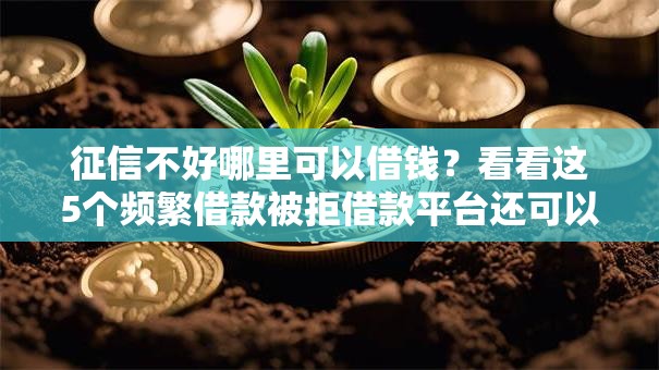 征信不好哪里可以借钱？看看这5个频繁借款被拒借款平台还可以借怎么样