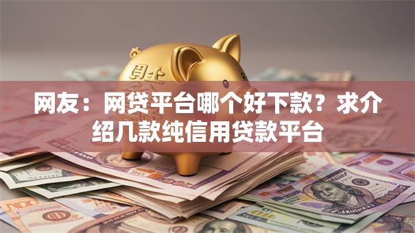 网友:网贷平台哪个好下款?求介绍几款纯信用贷款平台 网友:网贷平台哪个好下款?求介绍几款纯信用贷款平台