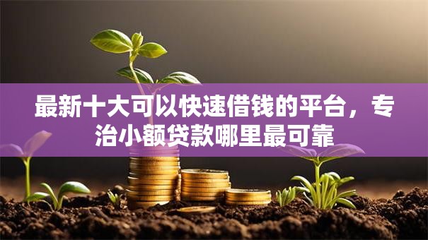 最新十大可以快速借钱的平台,专治小额贷款哪里最可靠 最新十大可以快速借钱的平台,专治小额贷款哪里最可靠