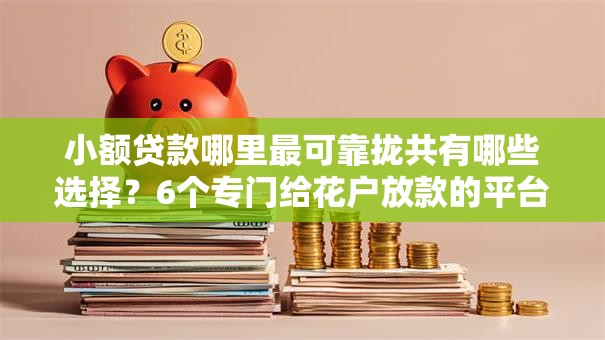 小额贷款哪里最可靠拢共有哪些选择?6个专门给花户放款的平台详解 小额贷款哪里最可靠拢共有哪些选择?6个专门给花户放款的平台详解