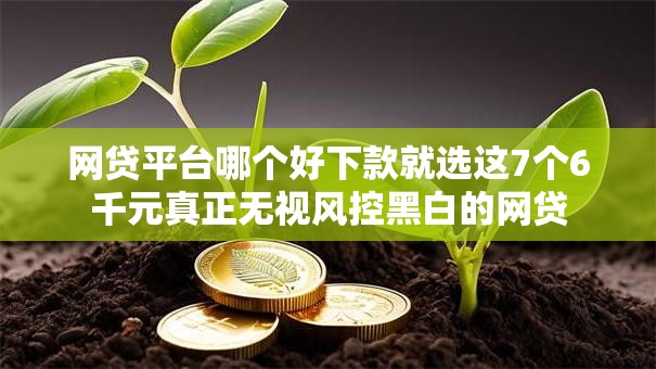 网贷平台哪个好下款就选这7个6千元真正无视风控黑白的网贷 网贷平台哪个好下款就选这7个6千元真正无视风控黑白的网贷