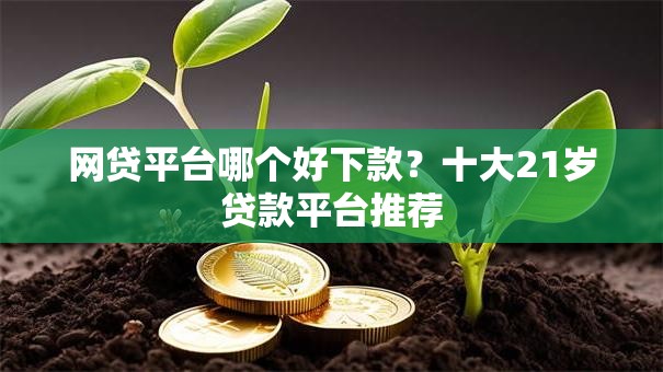 网贷平台哪个好下款？十大21岁贷款平台推荐