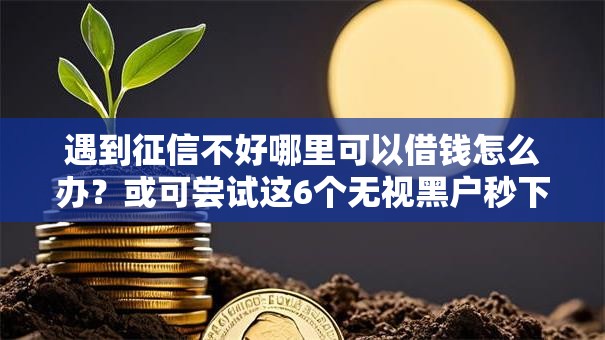 遇到征信不好哪里可以借钱怎么办?或可尝试这6个无视黑户秒下的口子 遇到征信不好哪里可以借钱怎么办?或可尝试这6个无视黑户秒下的口子