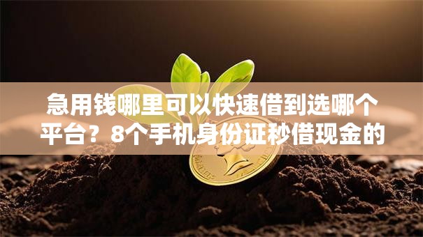 急用钱哪里可以快速借到选哪个平台?8个手机身份证秒借现金的口子推荐 急用钱哪里可以快速借到选哪个平台?8个手机身份证秒借现金的口子推荐