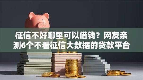 征信不好哪里可以借钱?网友亲测6个不看征信大数据的贷款平台一定能下款盘点 征信不好哪里可以借钱?网友亲测6个不看征信大数据的贷款平台一定能下款盘点