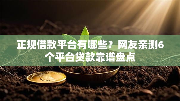 正规借款平台有哪些？网友亲测6个平台贷款靠谱盘点