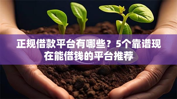 正规借款平台有哪些?5个靠谱现在能借钱的平台推荐 正规借款平台有哪些?5个靠谱现在能借钱的平台推荐