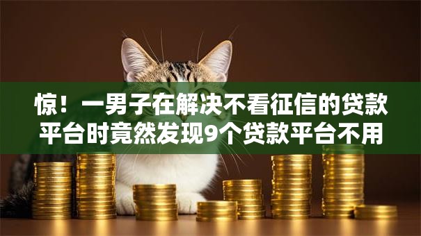惊！一男子在解决不看征信的贷款平台时竟然发现9个贷款平台不用人脸识别，事后分享了出来