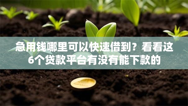 急用钱哪里可以快速借到?看看这6个贷款平台有没有能下款的 急用钱哪里可以快速借到?看看这6个贷款平台有没有能下款的