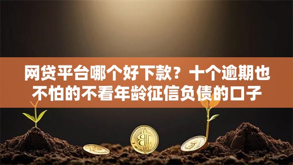 网贷平台哪个好下款?十个逾期也不怕的不看年龄征信负债的口子 网贷平台哪个好下款?十个逾期也不怕的不看年龄征信负债的口子