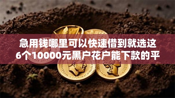 急用钱哪里可以快速借到就选这6个10000元黑户花户能下款的平台 急用钱哪里可以快速借到就选这6个10000元黑户花户能下款的平台