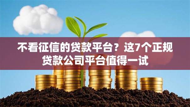不看征信的贷款平台？这7个正规贷款公司平台值得一试