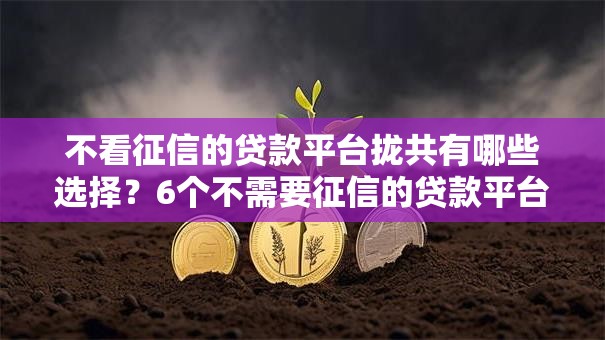 不看征信的贷款平台拢共有哪些选择?6个不需要征信的贷款平台详解 不看征信的贷款平台拢共有哪些选择?6个不需要征信的贷款平台详解