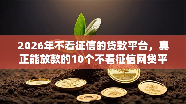2026年不看征信的贷款平台,真正能放款的10个不看征信网贷平台放款快的app推荐 2026年不看征信的贷款平台,真正能放款的10个不看征信网贷平台放款快的app推荐