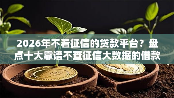 2026年不看征信的贷款平台?盘点十大靠谱不查征信大数据的借款平台百分百通过 2026年不看征信的贷款平台?盘点十大靠谱不查征信大数据的借款平台百分百通过