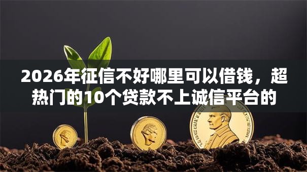 2026年征信不好哪里可以借钱，超热门的10个贷款不上诚信平台的平台推荐