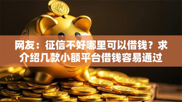 网友：征信不好哪里可以借钱？求介绍几款小额平台借钱容易通过不看征信