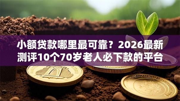 小额贷款哪里最可靠?2026最新测评10个70岁老人必下款的平台 小额贷款哪里最可靠?2026最新测评10个70岁老人必下款的平台