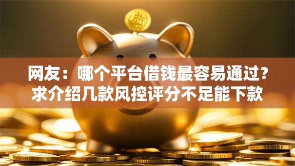 网友:哪个平台借钱最容易通过?求介绍几款风控评分不足能下款的平台 网友:哪个平台借钱最容易通过?求介绍几款风控评分不足能下款的平台