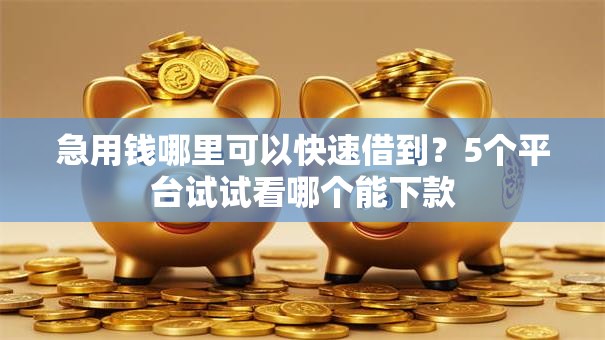 急用钱哪里可以快速借到?5个平台试试看哪个能下款 急用钱哪里可以快速借到?5个平台试试看哪个能下款