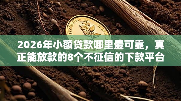2026年小额贷款哪里最可靠，真正能放款的8个不征信的下款平台看推荐