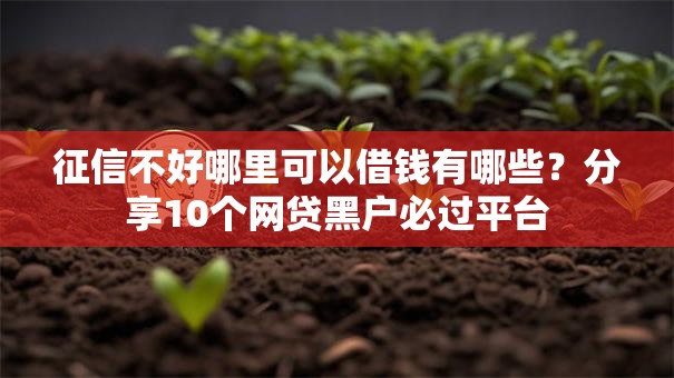 征信不好哪里可以借钱有哪些?分享10个网贷黑户必过平台 征信不好哪里可以借钱有哪些?分享10个网贷黑户必过平台