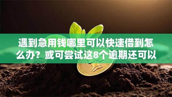 遇到急用钱哪里可以快速借到怎么办?或可尝试这8个逾期还可以贷款的平台 遇到急用钱哪里可以快速借到怎么办?或可尝试这8个逾期还可以贷款的平台