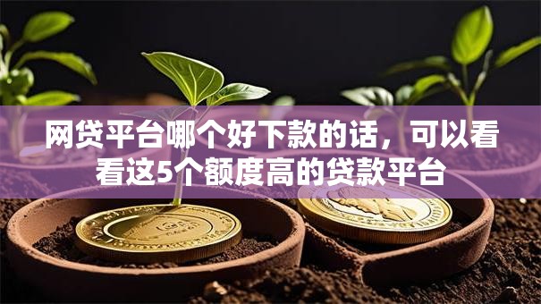 网贷平台哪个好下款的话,可以看看这5个额度高的贷款平台 网贷平台哪个好下款的话,可以看看这5个额度高的贷款平台