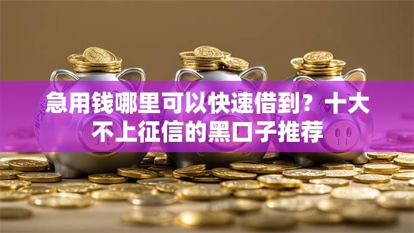 急用钱哪里可以快速借到?十大不上征信的黑口子推荐 急用钱哪里可以快速借到?十大不上征信的黑口子推荐