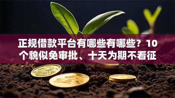 正规借款平台有哪些有哪些?10个貌似免审批、十天为期不看征信借钱平台合集 正规借款平台有哪些有哪些?10个貌似免审批、十天为期不看征信借钱平台合集